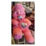 Big Teddy with Photo 5 Feet