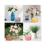 Indoblaze Scented Candles Gift Set, 6 Fragrances, Reusable Acrylic jar, Perfect Aroma Candles Gift Set (6) - Image 4