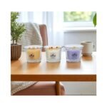 Mount Wolf Scented Candle Set – Sandalwood, Vanilla & Lavender Fragrances - Image 3
